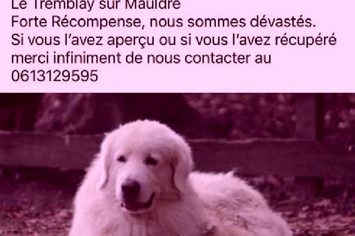 Lillian, 27 — Escort in Le Tremblay-sur-Mauldre, France