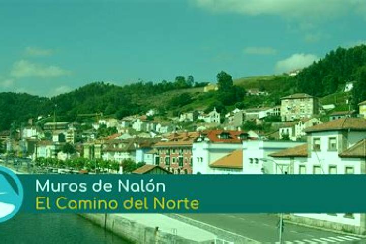 Lillian, 27 — Escort in Muros de Nalon, Spain