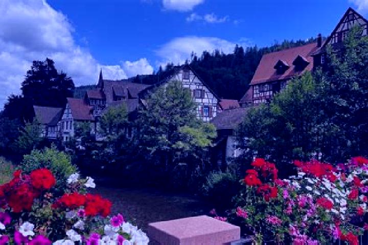 Lillian, 27 — Escort in Schiltach, Germany