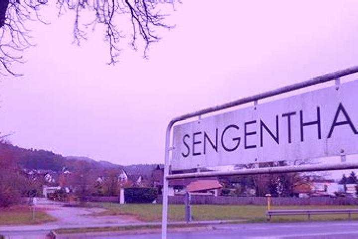 Lillian, 27 — Escort in Sengenthal, Germany