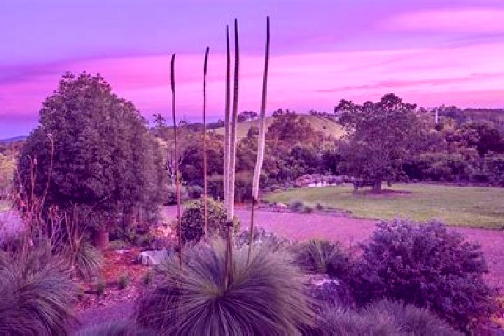 Lillian, 27 — Escort in Windsor Gardens, Australia