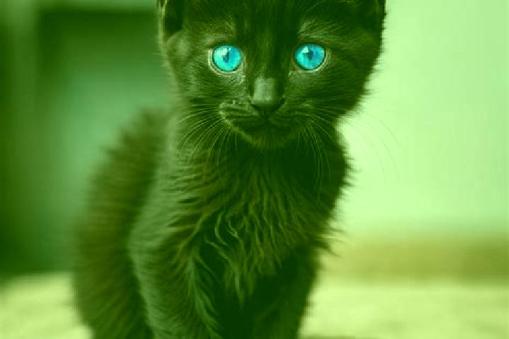 Lillian, 28, a black blue-eyed mediterranean companion based in San Miguel la Toma. Offering 69, Tantra, OWO. Available for incall and outcall, overnight boo...