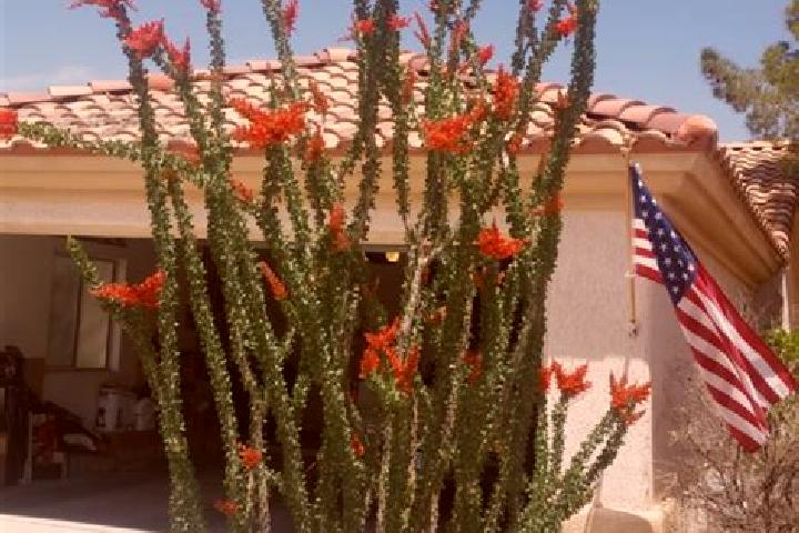 Lillian, 28 — Escort in Ocotillo, Mexico