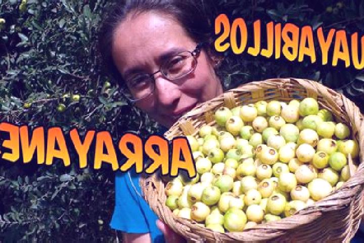Lillian, 29 — Escort in El Arrayan, Mexico