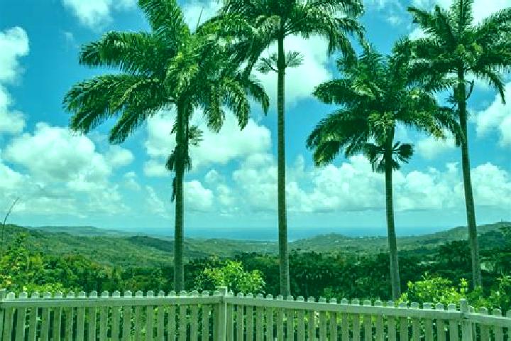 Lillian, 29 — Escort in Welchman Hall, Barbados