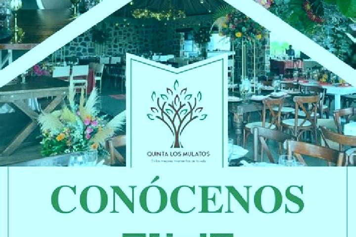 Lillian, 30 — Escort in Coyamel (El Coyame), Mexico