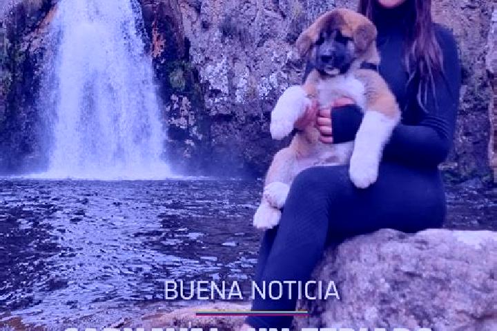 Lillian, 30 — Escort in Joseguango Bajo, Ecuador