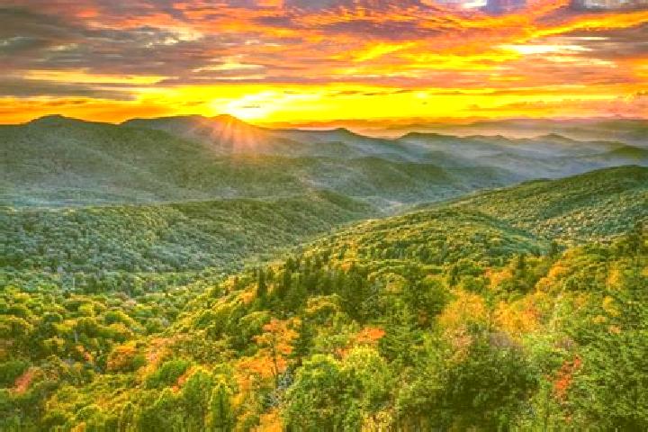 Lillian, 31 — Escort in Blue Ridge Summit, United States