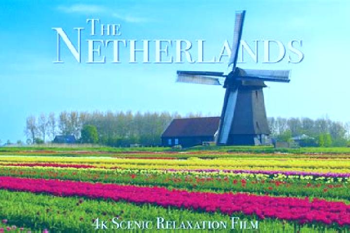 Lillian, 31 — Escort in Son, Netherlands