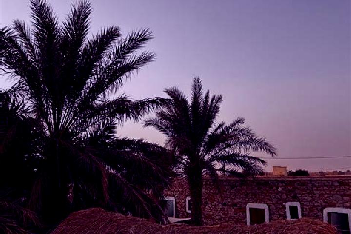 Lillian, 32 — Escort in Djowol, Mauritania