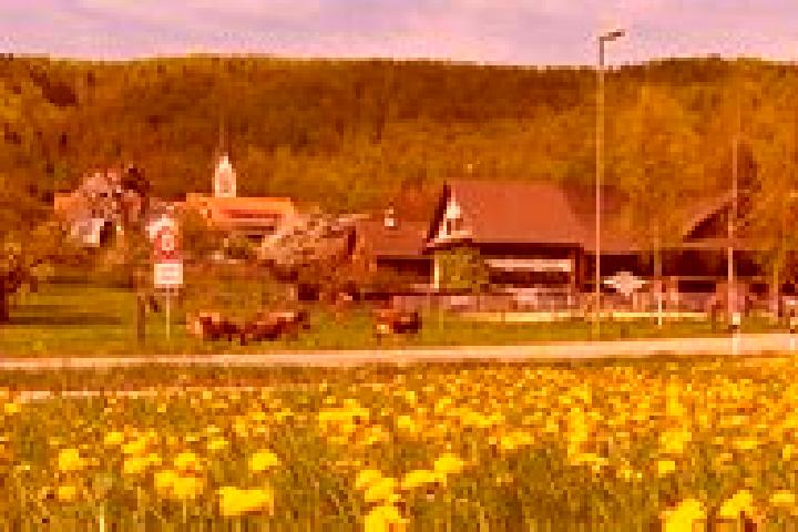 Lillian, 32 — Escort in Hausen am Albis / Hausen (Dorf), Switzerland