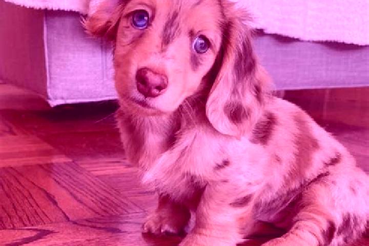 Lillian, 33, a chestnut blue-eyed mixed companion based in Deinste. Offering OWO, CIM, Roleplay, 69. Available for incall and outcall, overnight bookings ava...