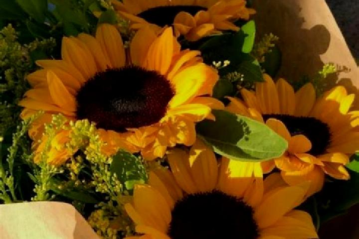 Lillian, 33 — Escort in Primorka, Russia