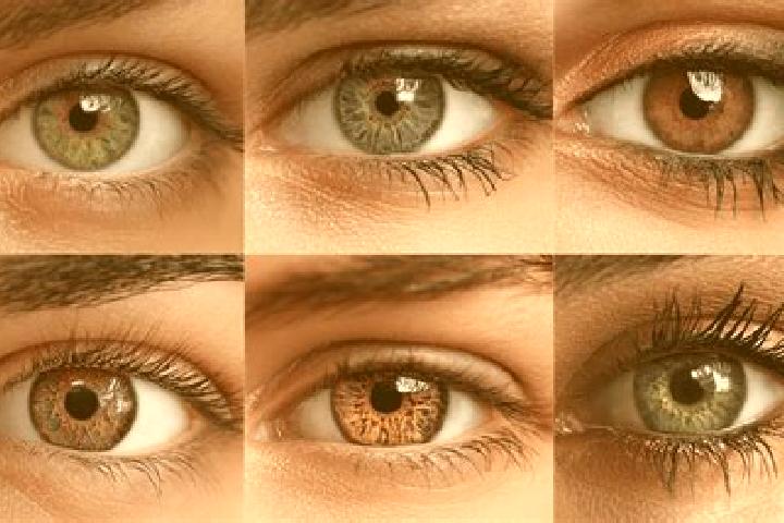 Lillian, 34, a black hazel-eyed middle eastern companion based in Jatiraya. Offering Overnight, Domination, BDSM. Available for incall and outcall, overnight...