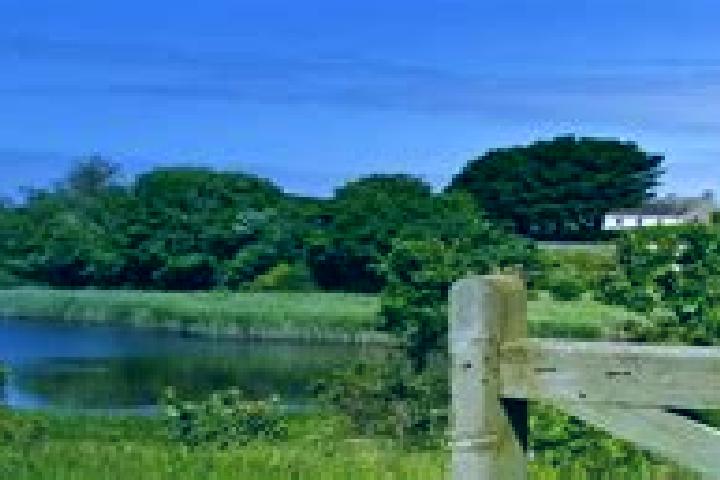 Lillian, 34 — Escort in Vale Parish, Guernsey