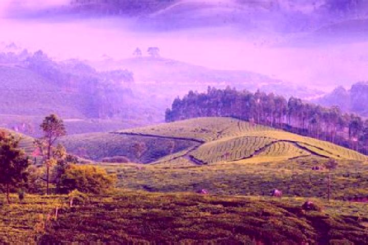 Lillian, 35 — Escort in Munnar, India