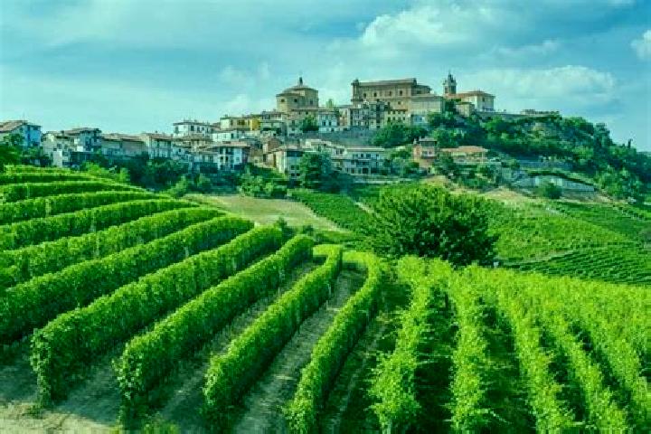 Lillian, 35 — Escort in Serravalle Langhe, Italy