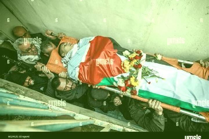 Lillian, 36 — Escort in Al Funduq, Palestine