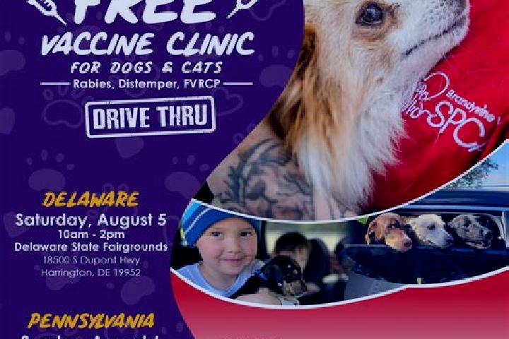 Lillian, 36 — Escort in Calimesa, United States