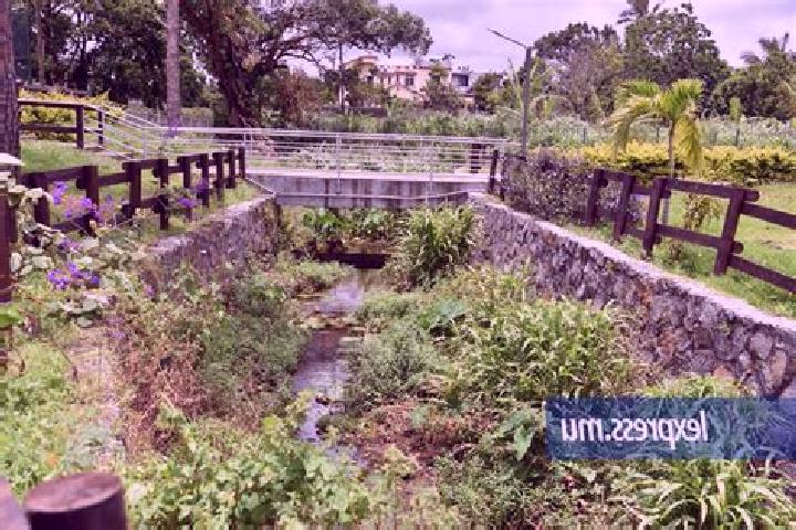 Lillian, 36 — Escort in Dagotiere, Mauritius