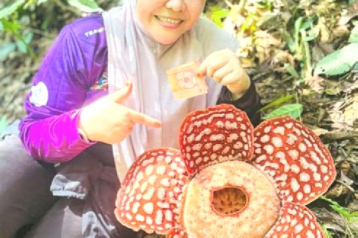 Lillian, 36 — Escort in Kampung Bongor, Malaysia
