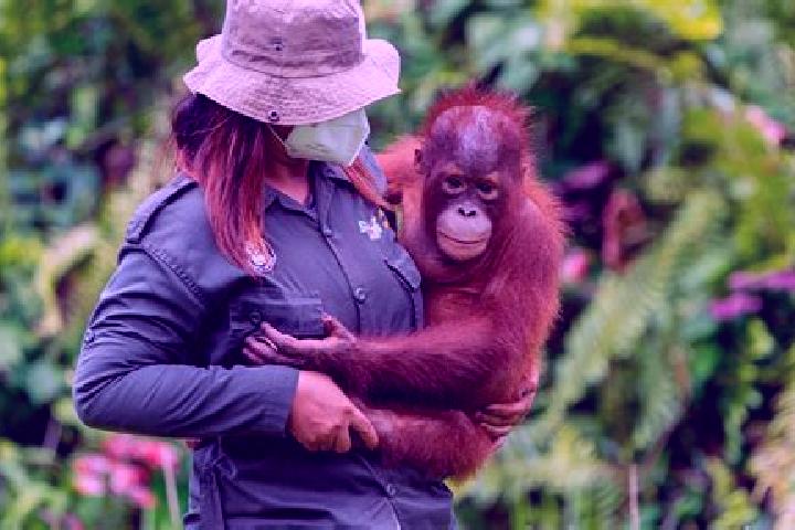 Lillian, 36 — Escort in Samboja, Indonesia