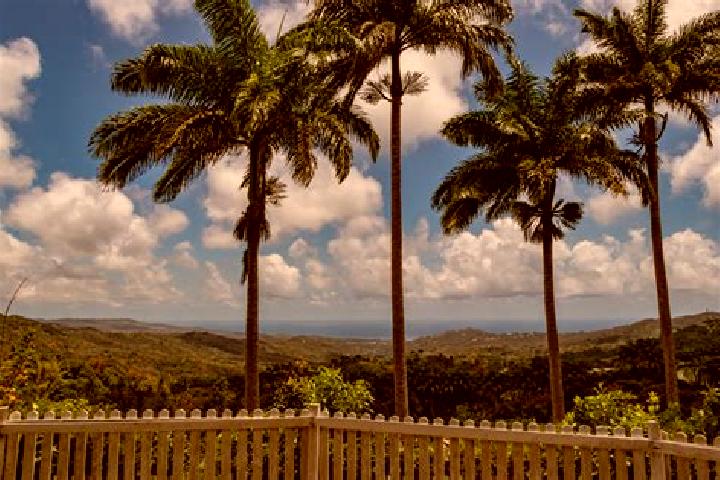 Lillian, 36 — Escort in Welchman Hall, Barbados