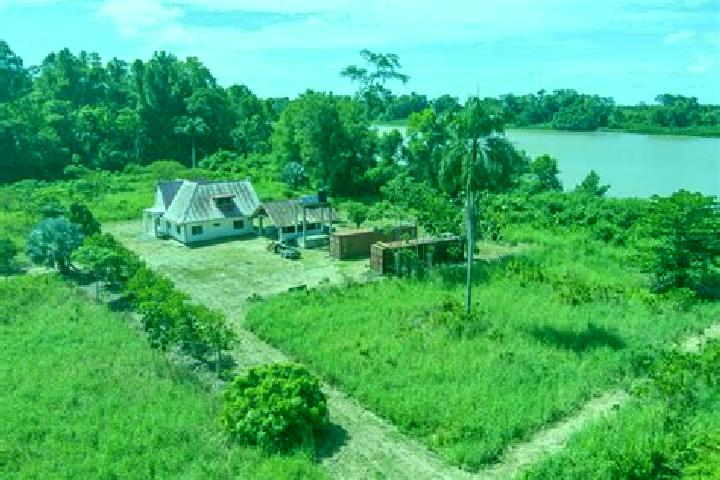 Lillian, 37 — Escort in Calcutta, Suriname