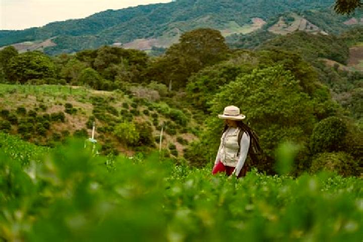 Lillian, 37 — Escort in Cerro Punta, Panama