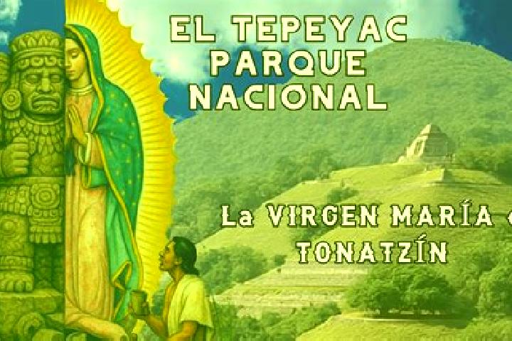 Lillian, 37 — Escort in El Tepeyac, Mexico