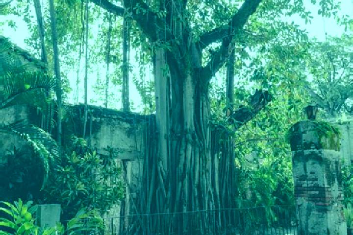 Lillian, 37 — Escort in Fraccionamiento Hacienda del Bosque, Mexico