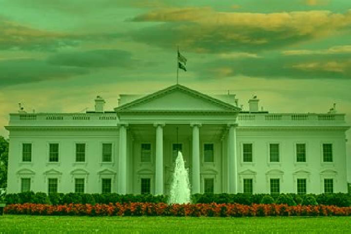Lillian, 37 — Escort in White House, United States