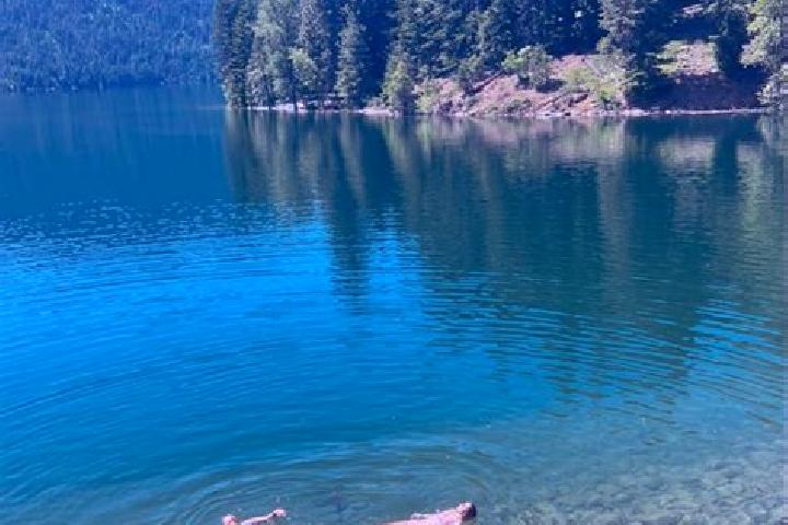 Lillian, 38 — Escort in Cle Elum, United States