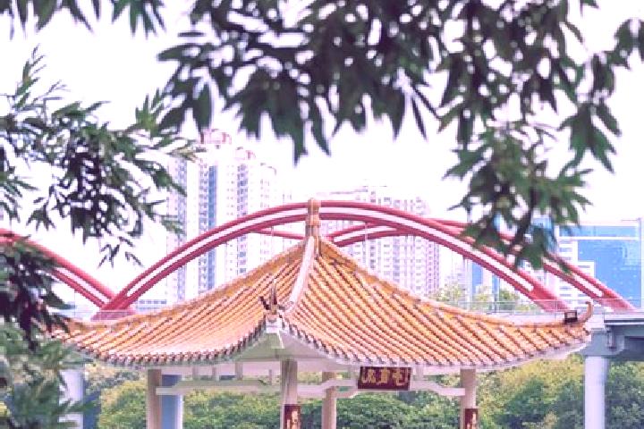 Lillian, 38 — Escort in Honghu, China