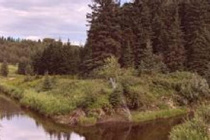 Lillian, 38 — Escort in Mactaggart, Canada
