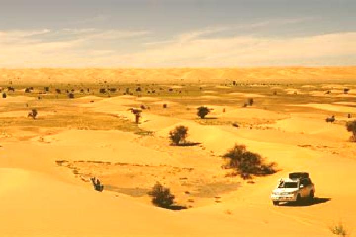 Lillian, 38 — Escort in Tichla, Western Sahara