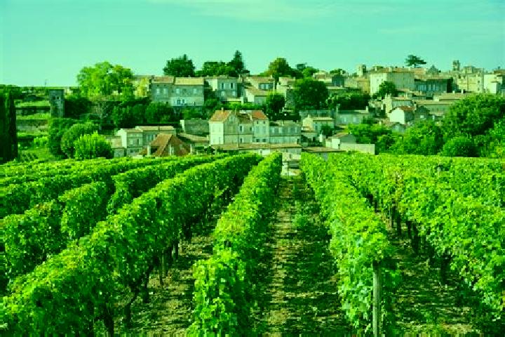 Lillian, 39 — Escort in Bourdeaux, France