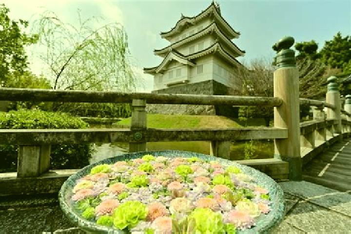 Lillian, 39 — Escort in Gyoda, Japan