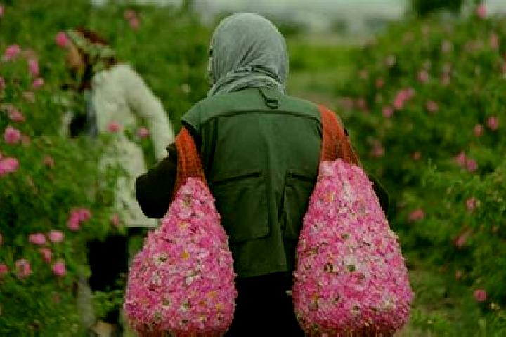 Lillian, 39 — Escort in Qamsar, Iran