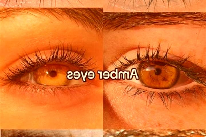 Lily, 20, a brunette amber-eyed slavic companion based in Buranga. Offering Erotic Massage, 69, OWO. Available for incall and outcall, overnight bookings ava...