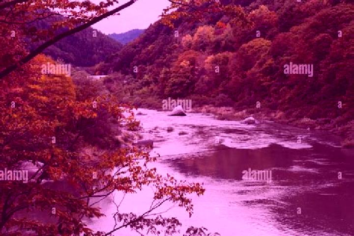 Lily, 20 — Escort in Agematsu, Japan