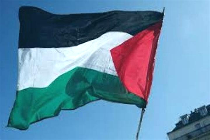 Lily, 20 — Escort in Az Zuwaydah, Palestine