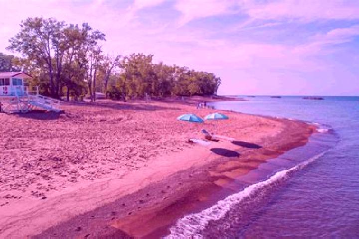 Lily, 20 — Escort in Lake Erie Beach, United States