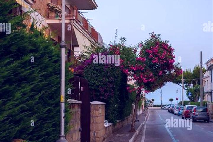 Lily, 20 — Escort in Scauri, Italy