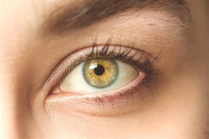 Lily, 21, a chestnut hazel-eyed mixed companion based in Kueblis. Offering CIM, GFE, Domination, Tantra, Fetish. Available for incall and outcall, overnight ...