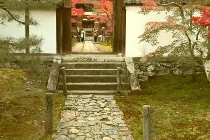 Lily, 21 — Escort in Kyotanabe, Japan