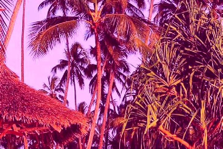 Lily, 23 — Escort in Bashanet, Tanzania