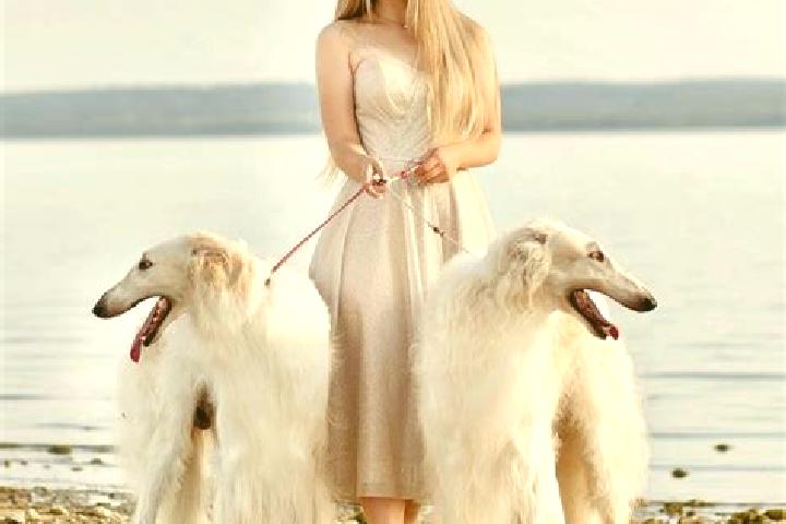 Lily, 23 — Escort in Enina, Bulgaria