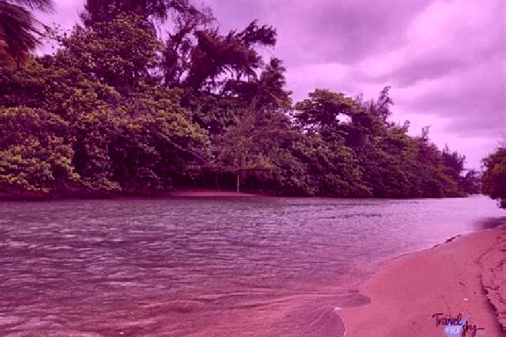 Lily, 23 — Escort in Palo Seco, Puerto Rico