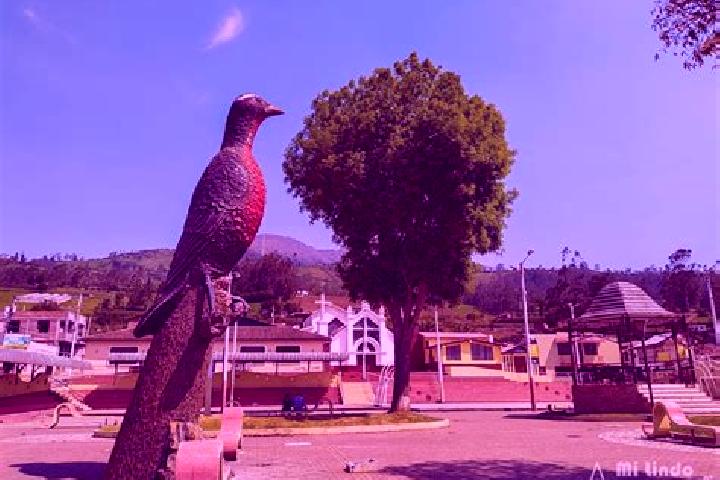 Lily, 23 — Escort in Quimiag, Ecuador